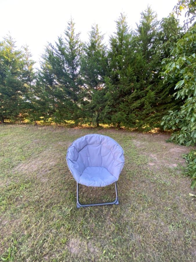 Au Paradis D'Alsace 55 M2 Nature & Relax Ingwiller エクステリア 写真