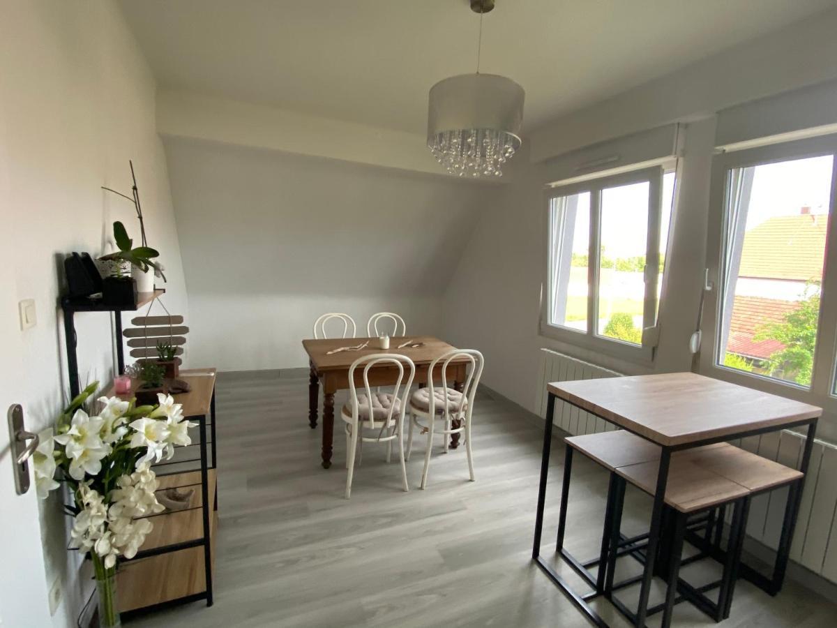 Au Paradis D'Alsace 55 M2 Nature & Relax Ingwiller エクステリア 写真