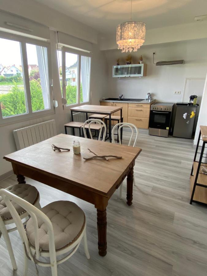 Au Paradis D'Alsace 55 M2 Nature & Relax Ingwiller エクステリア 写真