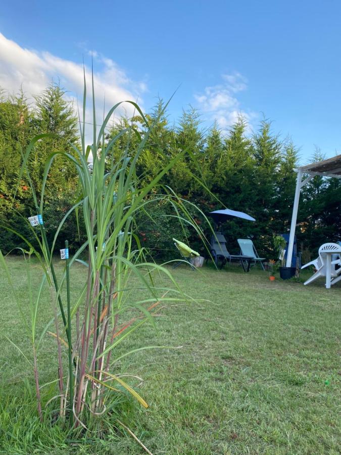 Au Paradis D'Alsace 55 M2 Nature & Relax Ingwiller エクステリア 写真
