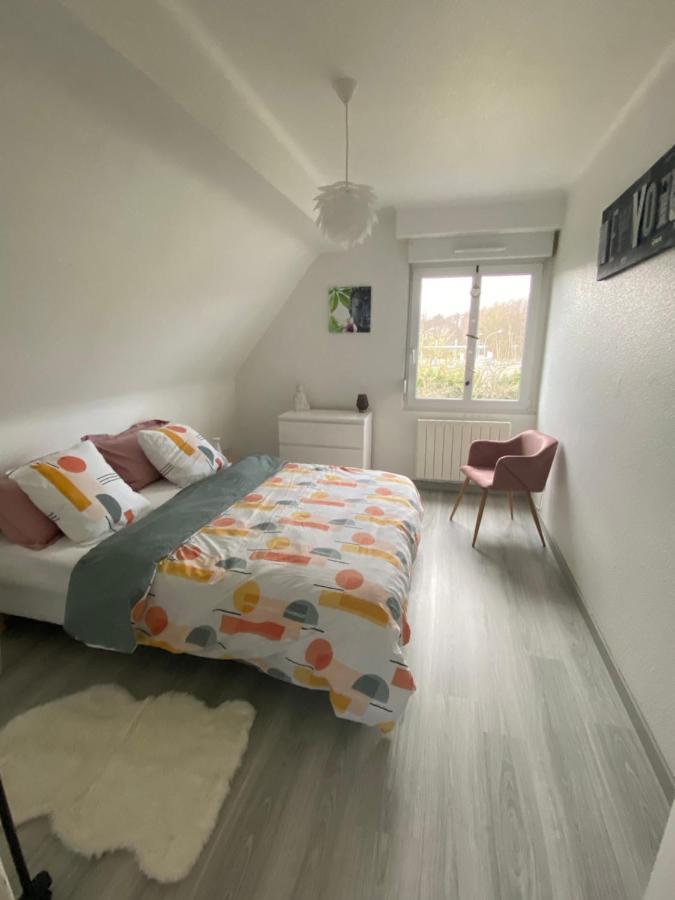 Au Paradis D'Alsace 55 M2 Nature & Relax Ingwiller エクステリア 写真