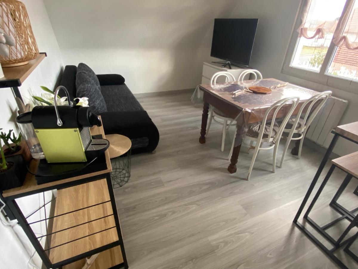 Au Paradis D'Alsace 55 M2 Nature & Relax Ingwiller エクステリア 写真